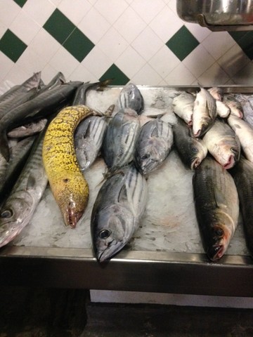 IMG_8453.JPG IMG_8453.JPG