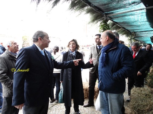 Feira do Queijo Em Seia !!! 281.jpg