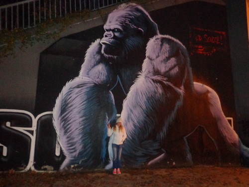 DSC01375.JPG DSC01375.JPG