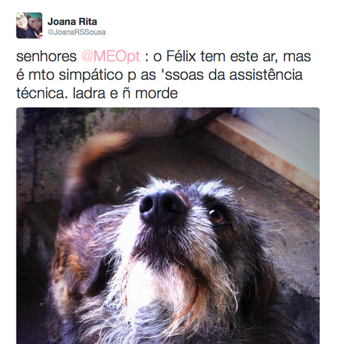 Captura de tela 2016-01-22 09.52.53.png