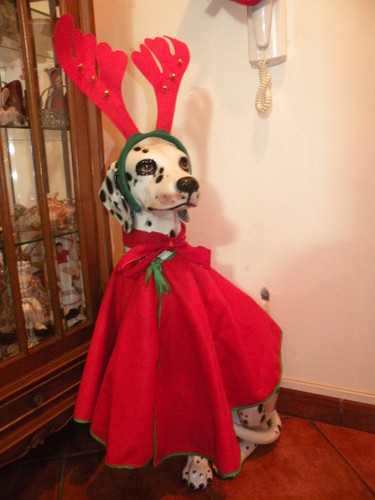 DSCN4822.JPG DSCN4822.JPG