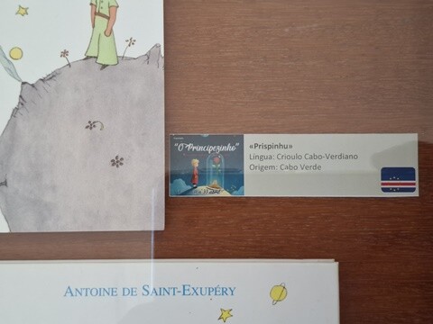 01b_Exposição (8).jpg