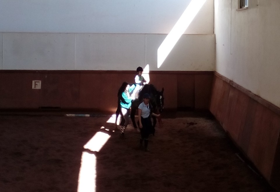 IMG_20190328_103736 (2).jpg