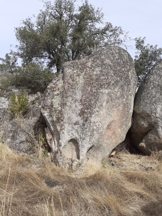 Croquete. Foto Original. 2021.10.09.jpg