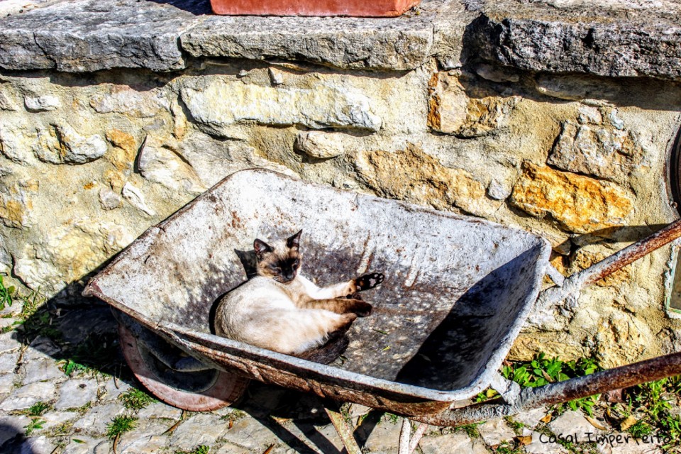 07_02_2022 19_53_32.jpg