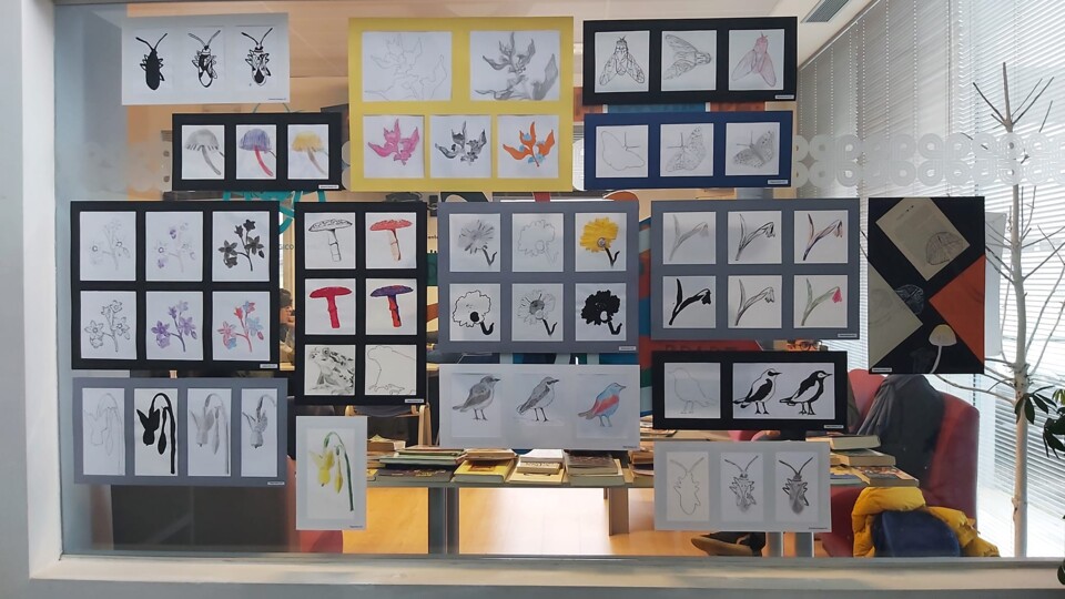 Serra Estrela Ilustrada1.jpg