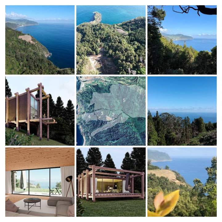 1- IMG_5443-COLLAGE.jpg