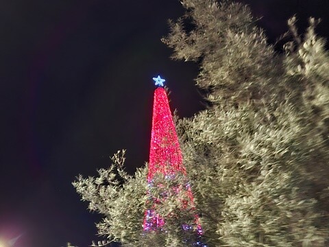 28b_Inauguração_Iluminações_de_Natal_OAz (33).