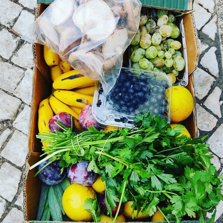 120195267_1826296627510090_1609019068773572531_o.j