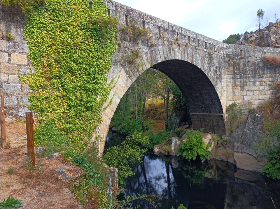 539262046_4057275531206657_2200282463493055706_n.j