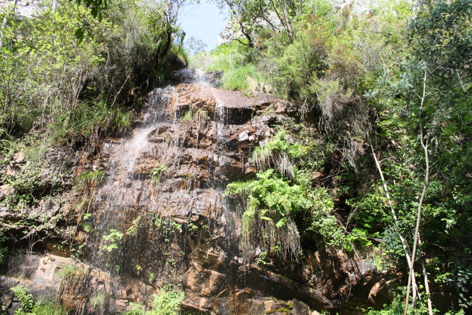 IMG_5187.jpg IMG_5187.jpg