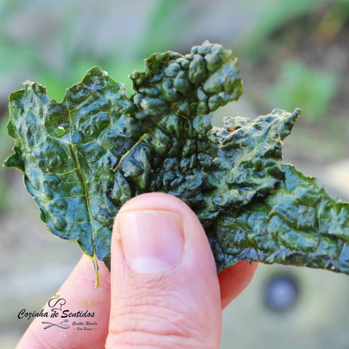 65309175_2288426594805444_3560854512056926208_n.jp