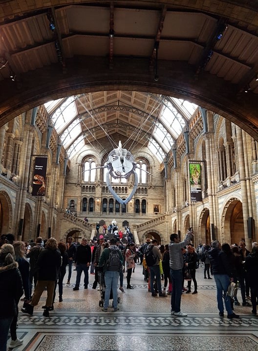 60050182_2536891836537663_8077029558856974336_n.jp 60050182_2536891836537663_8077029558856974336_n.jp