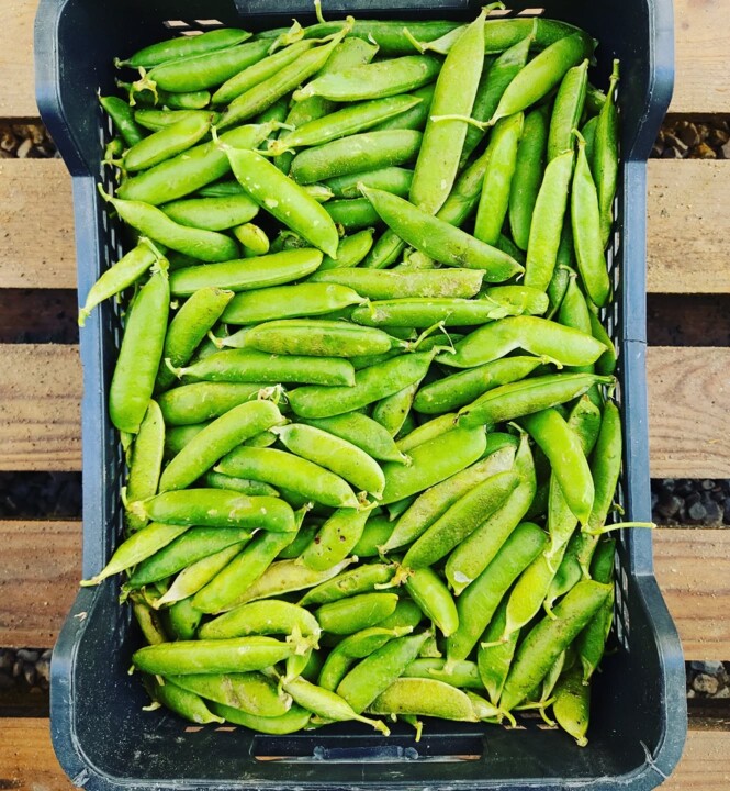 495230212_18475917133066958_1625249113070616762_n.