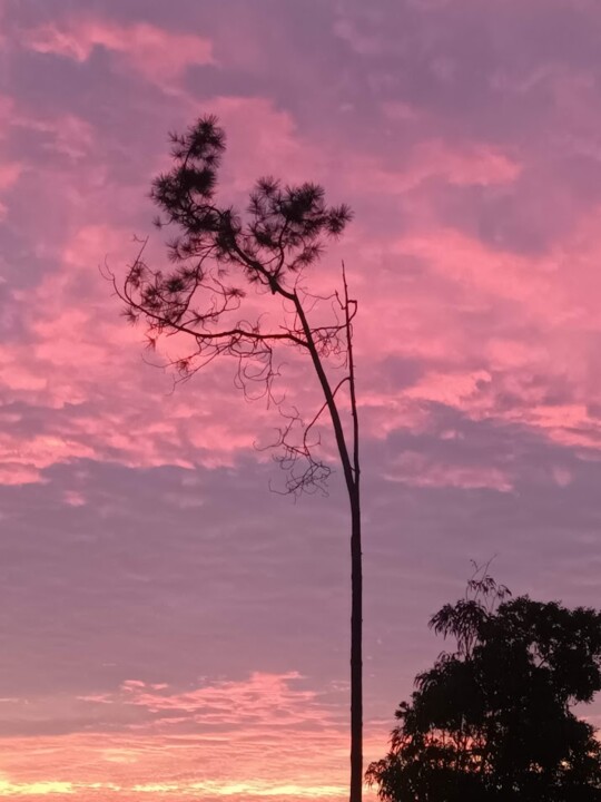 Não me canso disto outono.jpg