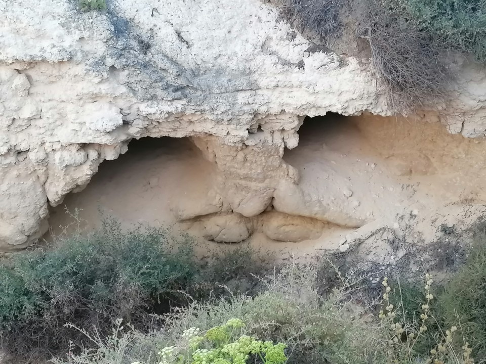 IMG_20200819_200902.jpg IMG_20200819_200902.jpg