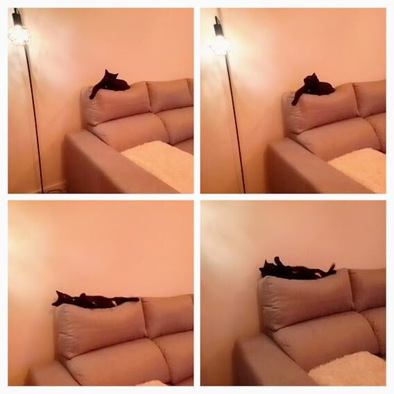 474593250_9305718462792971_9072116889300654682_n.j