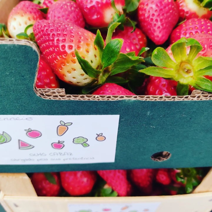 275176429_2254231658049916_5938019851247393932_n.j