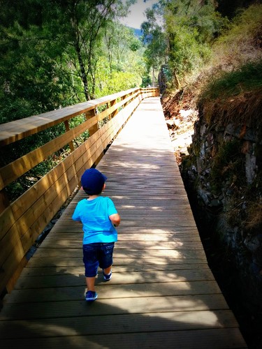 Life's Short, Enjoy It