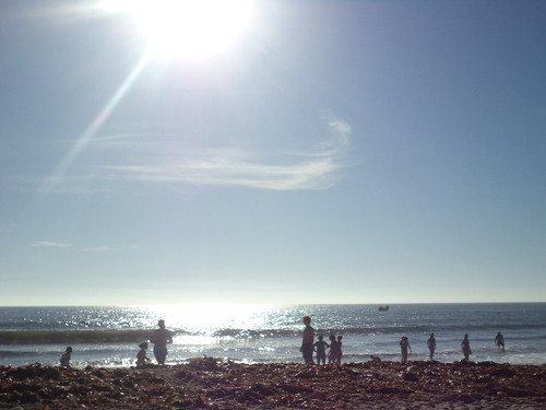 DSC08592.JPG DSC08592.JPG