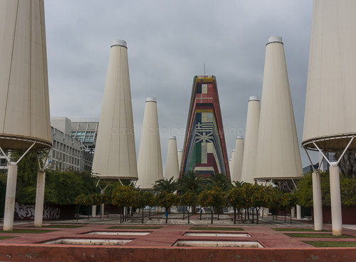 DSC02414.jpg DSC02414.jpg