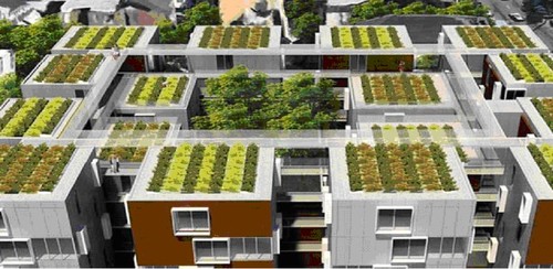 MM-hortas nos telhados.jpg