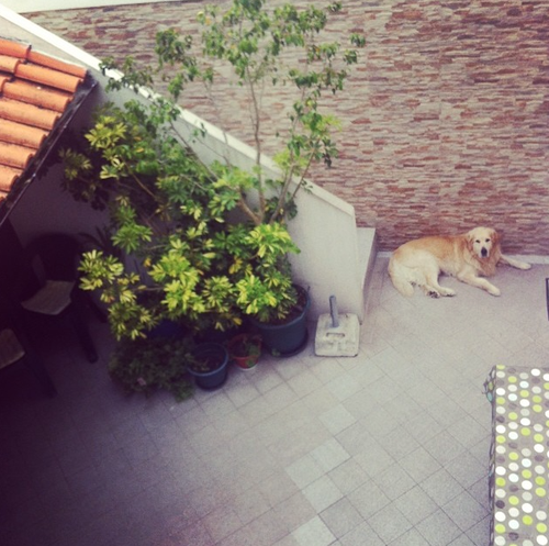 Captura de ecrã 2015-08-8, às 19.12.00.png