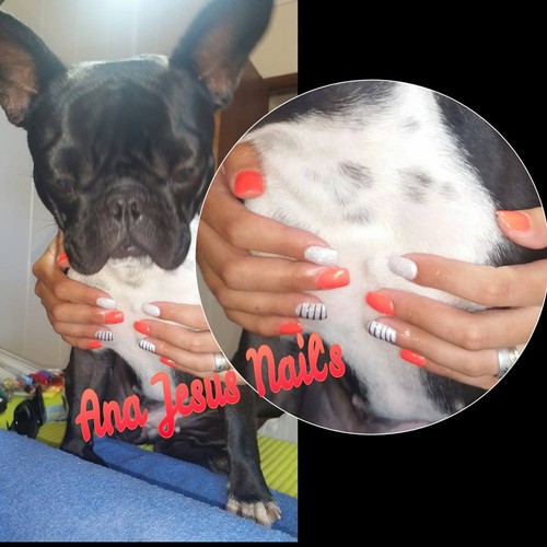 13707718_1253555221330577_6758070440589786172_n.jp 13707718_1253555221330577_6758070440589786172_n.jp