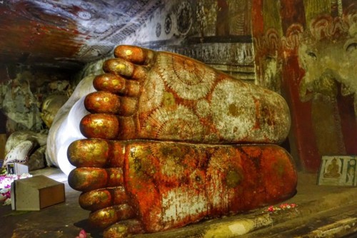 21766697_10214527925341954_6106690622578034080_n.j