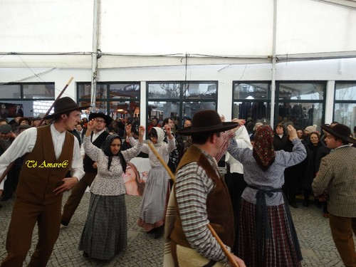 Feira do Queijo Em Seia !!! 541.jpg