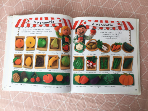 dicionario imagens.jpg