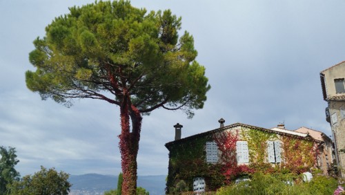 20171111_123040.jpg 20171111_123040.jpg