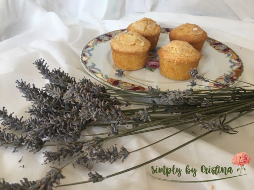 2018-11-29 17.52.53.jpg