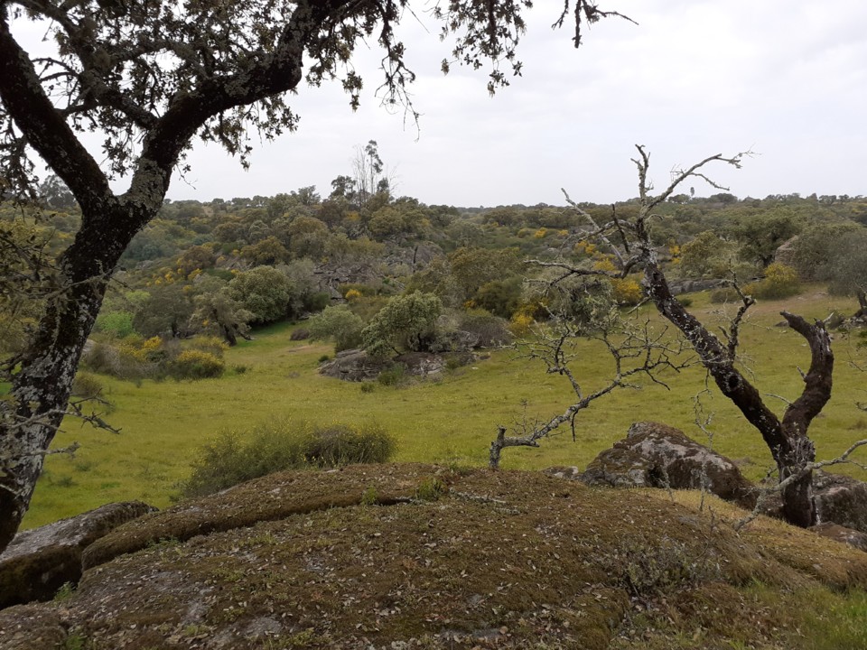 Tapada. Vista para a Ribeira. Foto original. 2021.04.02.jpg