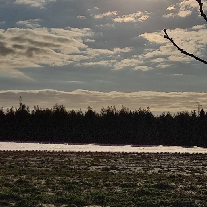 159989969_1973051566167928_594763478765042069_o.jp