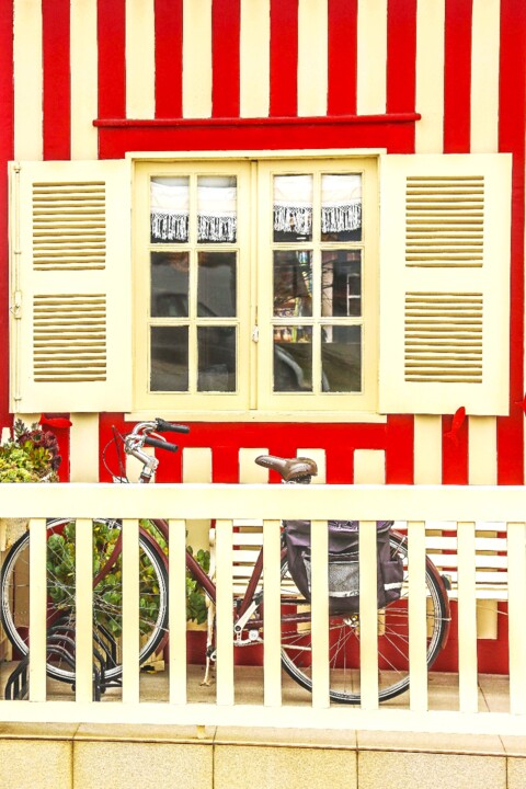 palheiros da costa nova 9.jpg