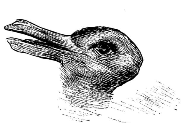duck_rabbit.jpg