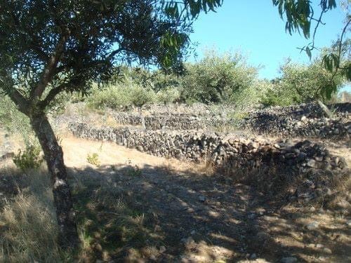 IMG_0906.JPG IMG_0906.JPG