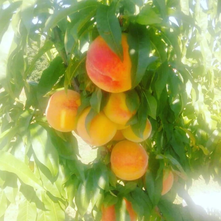 293265480_2360617164078031_7981927208150300759_n (