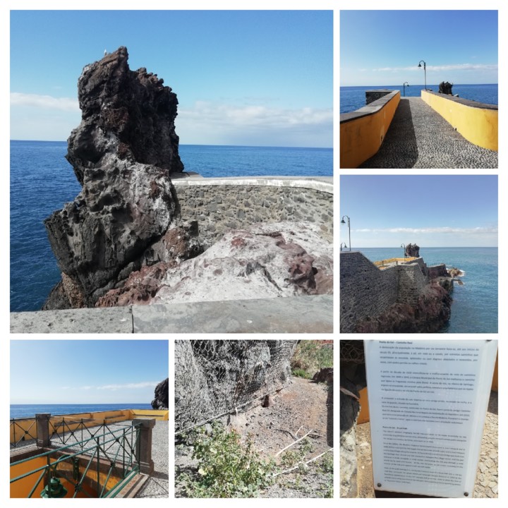 IMG_20210321_105532-COLLAGE.jpg IMG_20210321_105532-COLLAGE.jpg