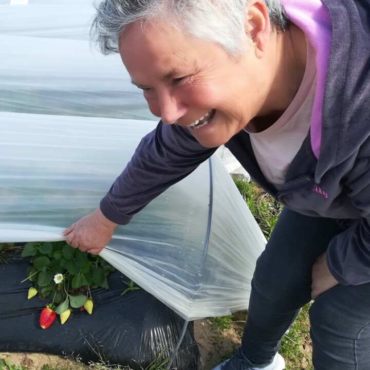 280066257_2304759112997170_2404539814393305195_n.j