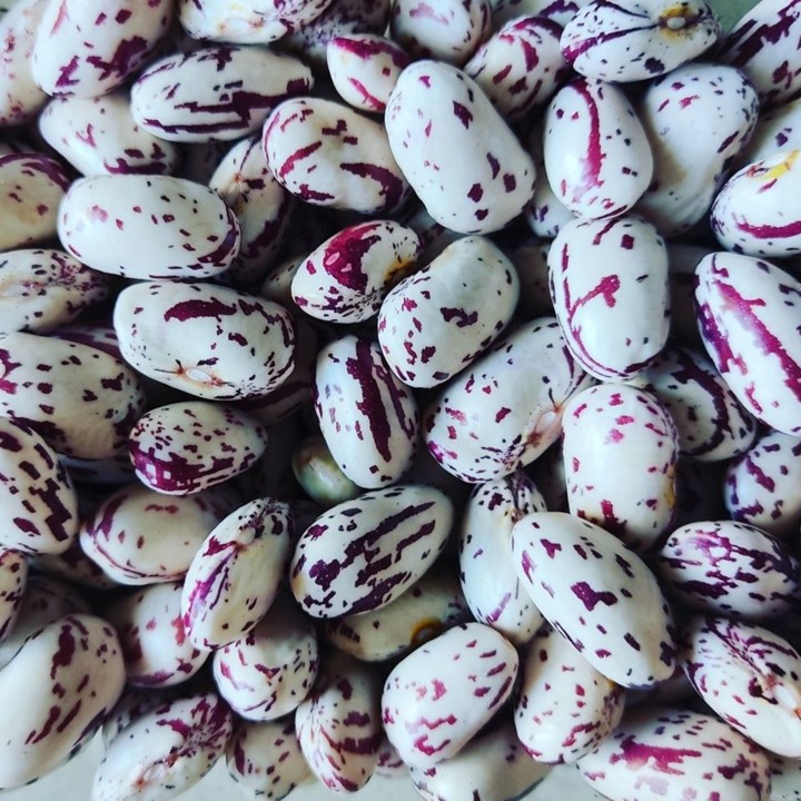 113831001_1763439307129156_3219608184054985647_o.j