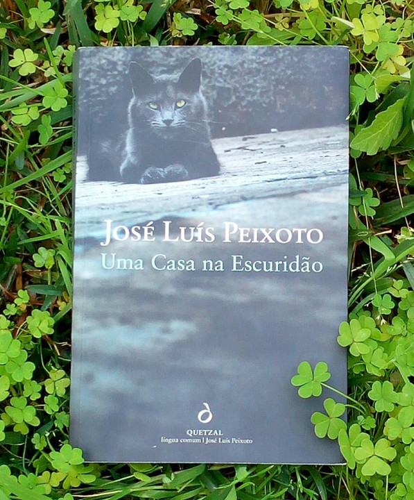 IMG_20210309_132254.jpg IMG_20210309_132254.jpg