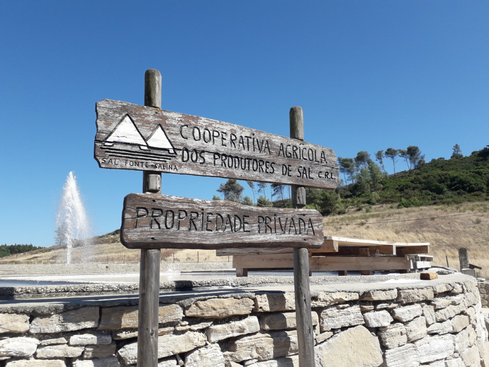 20190804_161930.jpg 20190804_161930.jpg