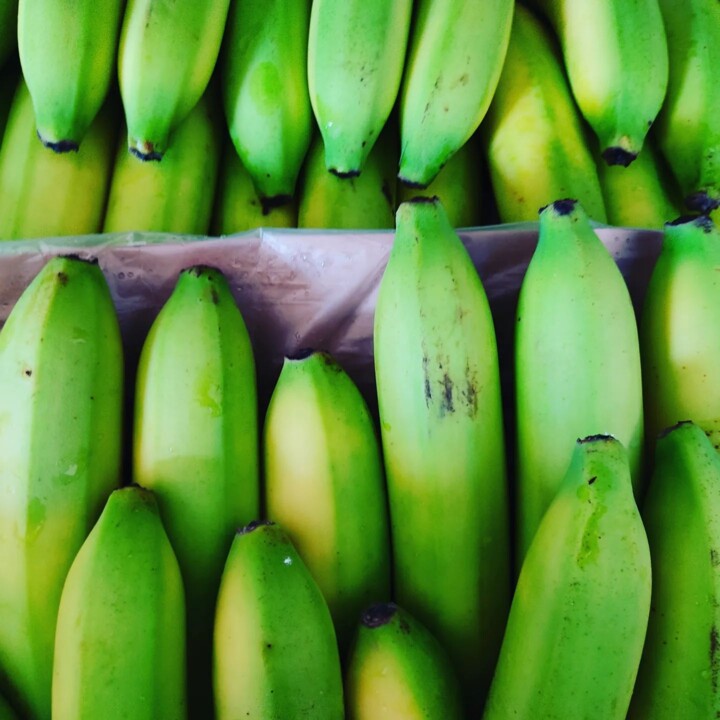 328630900_6488503687830686_1223459031169929586_n.j