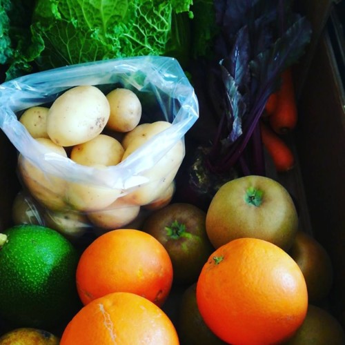 50508757_1292821457524279_6659002353250729984_n.jp