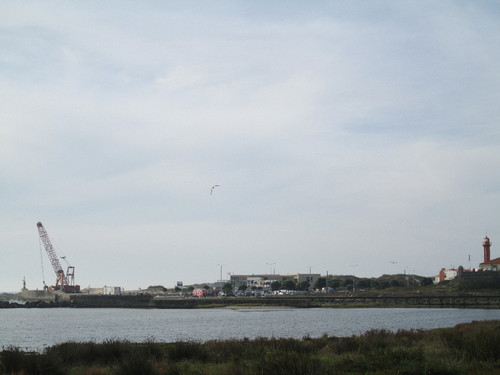 IMG_0939.JPG IMG_0939.JPG