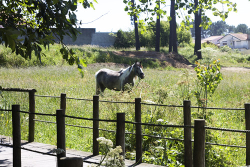 0_passadiço_arcozelo5 0_passadiço_arcozelo5