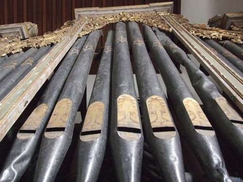 Tubos de órgão.jpg