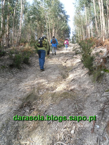 Trilho_Eiras_Famalicao_20.JPG